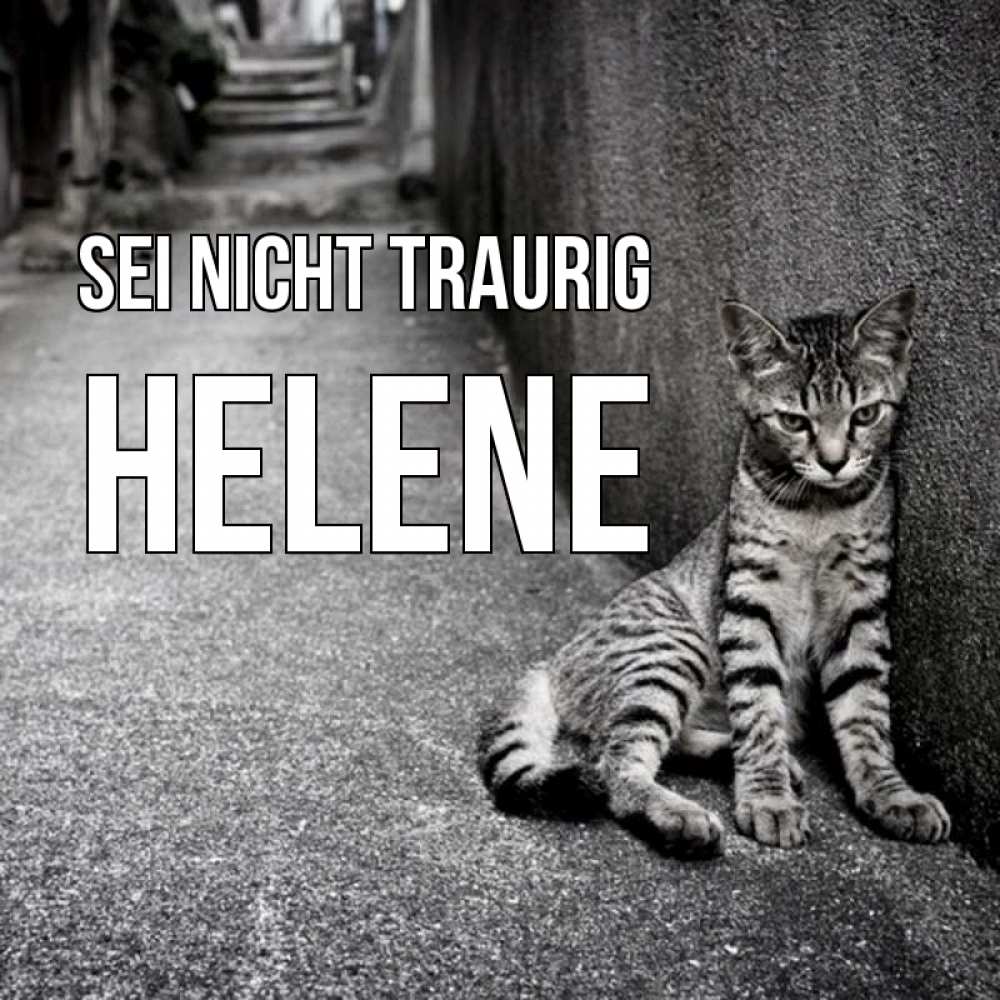 Открытка на каждый день с именем, Helene Sei nicht traurig скучающий котик Прикольная открытка с пожеланием онлайн скачать бесплатно 