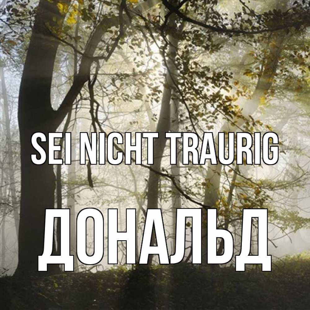 Открытка на каждый день с именем, Дональд Sei nicht traurig лес и свет Прикольная открытка с пожеланием онлайн скачать бесплатно 