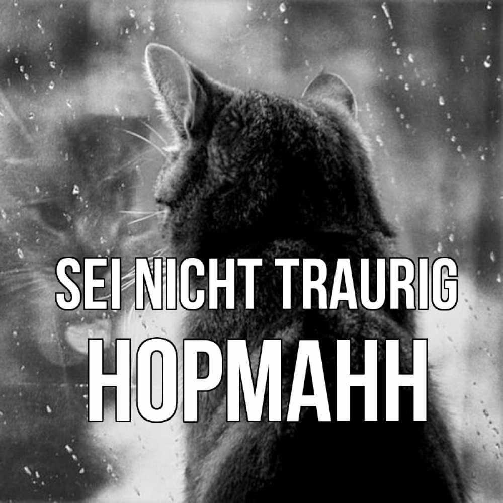 Открытка на каждый день с именем, Норманн Sei nicht traurig отражение кота 1 Прикольная открытка с пожеланием онлайн скачать бесплатно 
