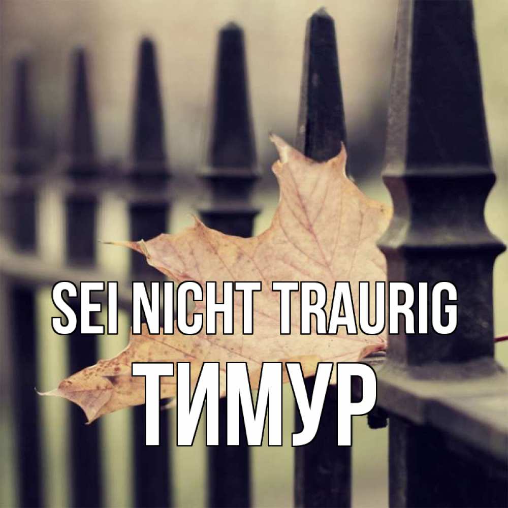 Открытка на каждый день с именем, Тимур Sei nicht traurig лист клена Прикольная открытка с пожеланием онлайн скачать бесплатно 