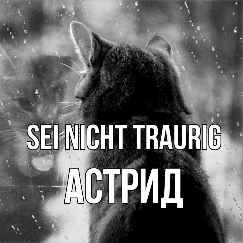 Открытка на каждый день с именем, Астрид Sei nicht traurig отражение кота 1 Прикольная открытка с пожеланием онлайн скачать бесплатно 