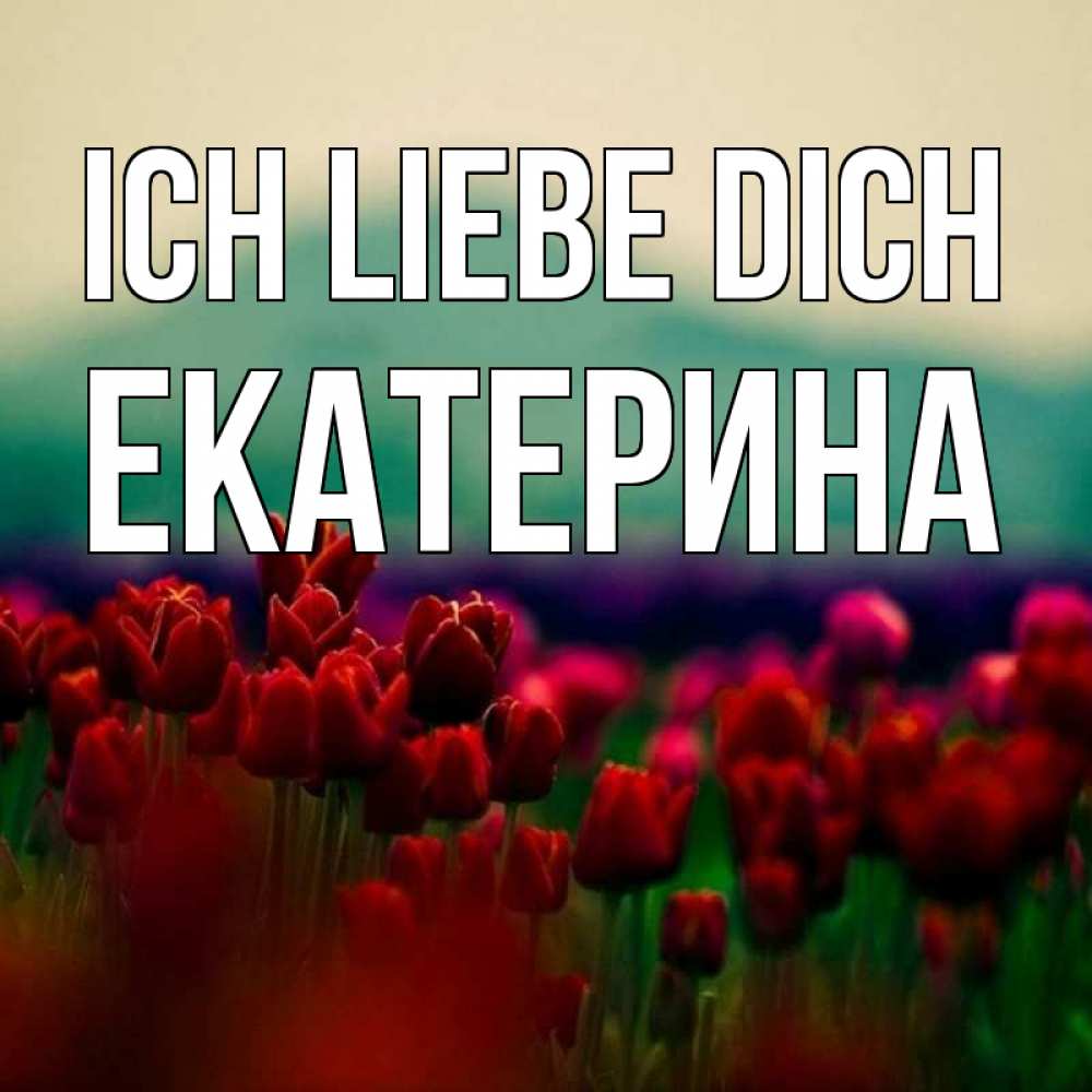 Открытка на каждый день с именем, Екатерина Ich liebe dich тюльпаны 4 Прикольная открытка с пожеланием онлайн скачать бесплатно 