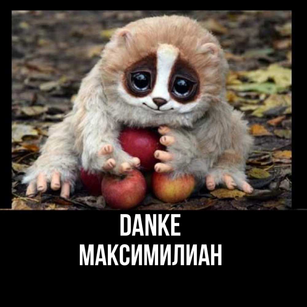 Открытка на каждый день с именем, Максимилиан Danke прикольное животное Прикольная открытка с пожеланием онлайн скачать бесплатно 