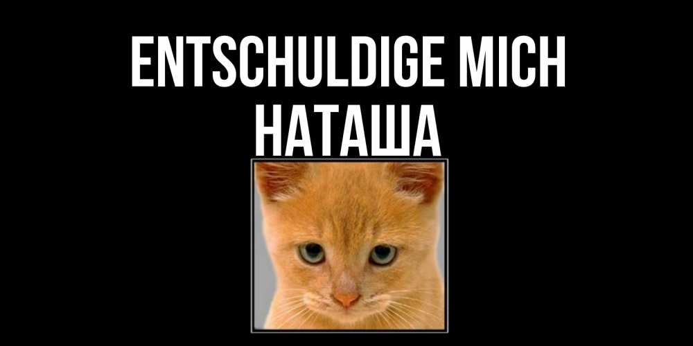 Открытка на каждый день с именем, Наташа Entschuldige mich рыжий грустный кот просит прощения Прикольная открытка с пожеланием онлайн скачать бесплатно 