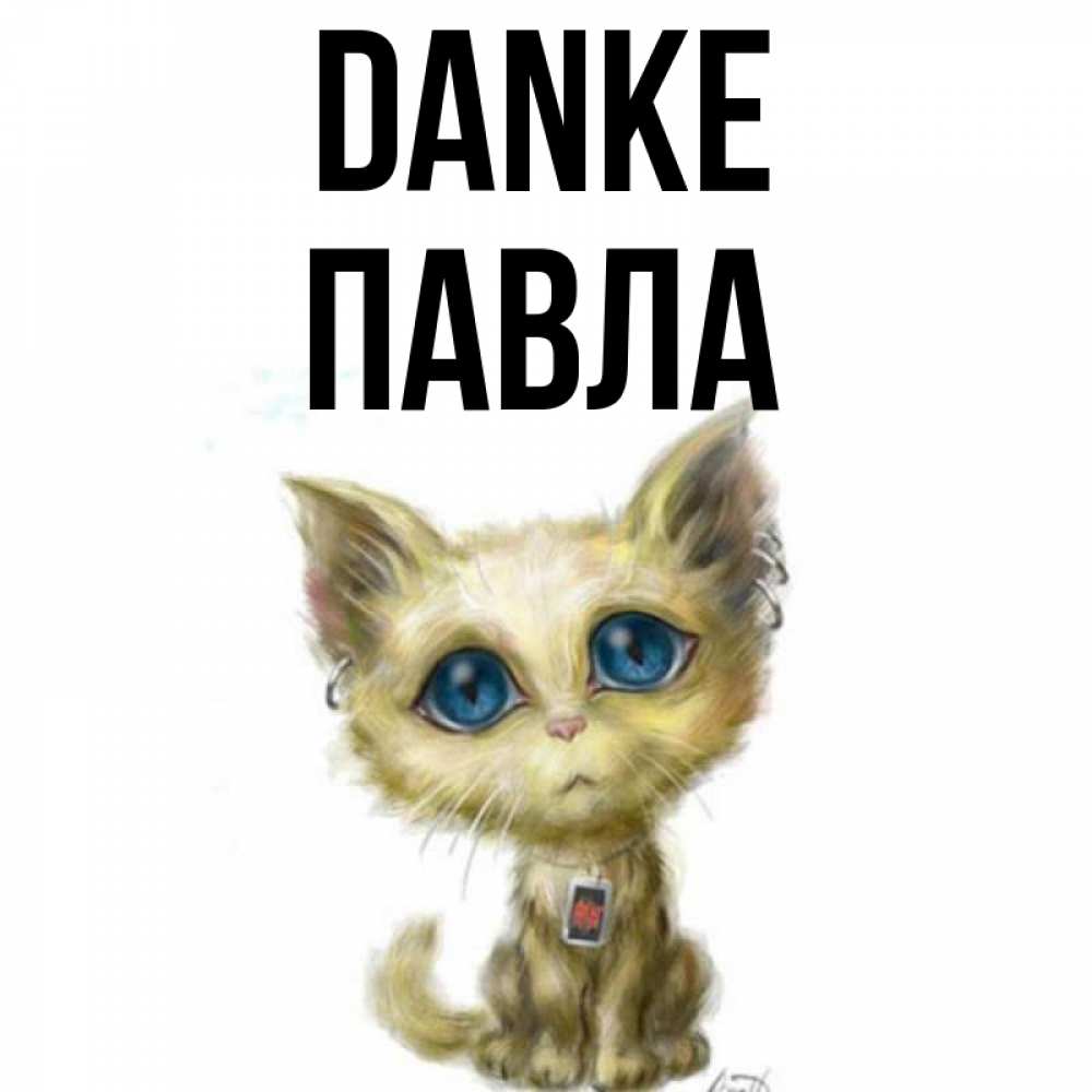 Открытка на каждый день с именем, Павла Danke рисованный кот благодарит вас Прикольная открытка с пожеланием онлайн скачать бесплатно 