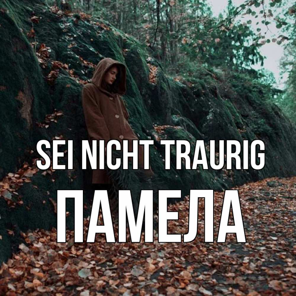 Открытка на каждый день с именем, Памела Sei nicht traurig осенний лес Прикольная открытка с пожеланием онлайн скачать бесплатно 