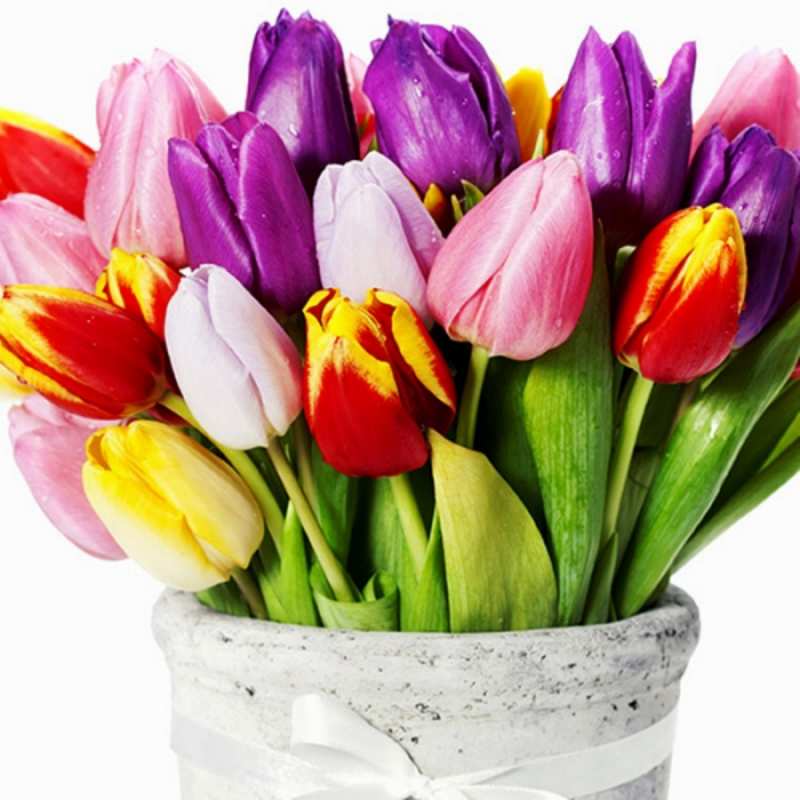 Открытка тюльпаны в вазе  букет  Am 8. März 