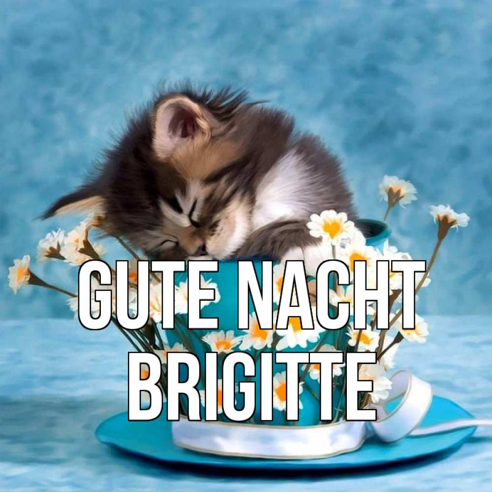 Открытка на каждый день с именем, Brigitte Gute Nacht котенок спит в кружке с блюдцем Прикольная открытка с пожеланием онлайн скачать бесплатно 