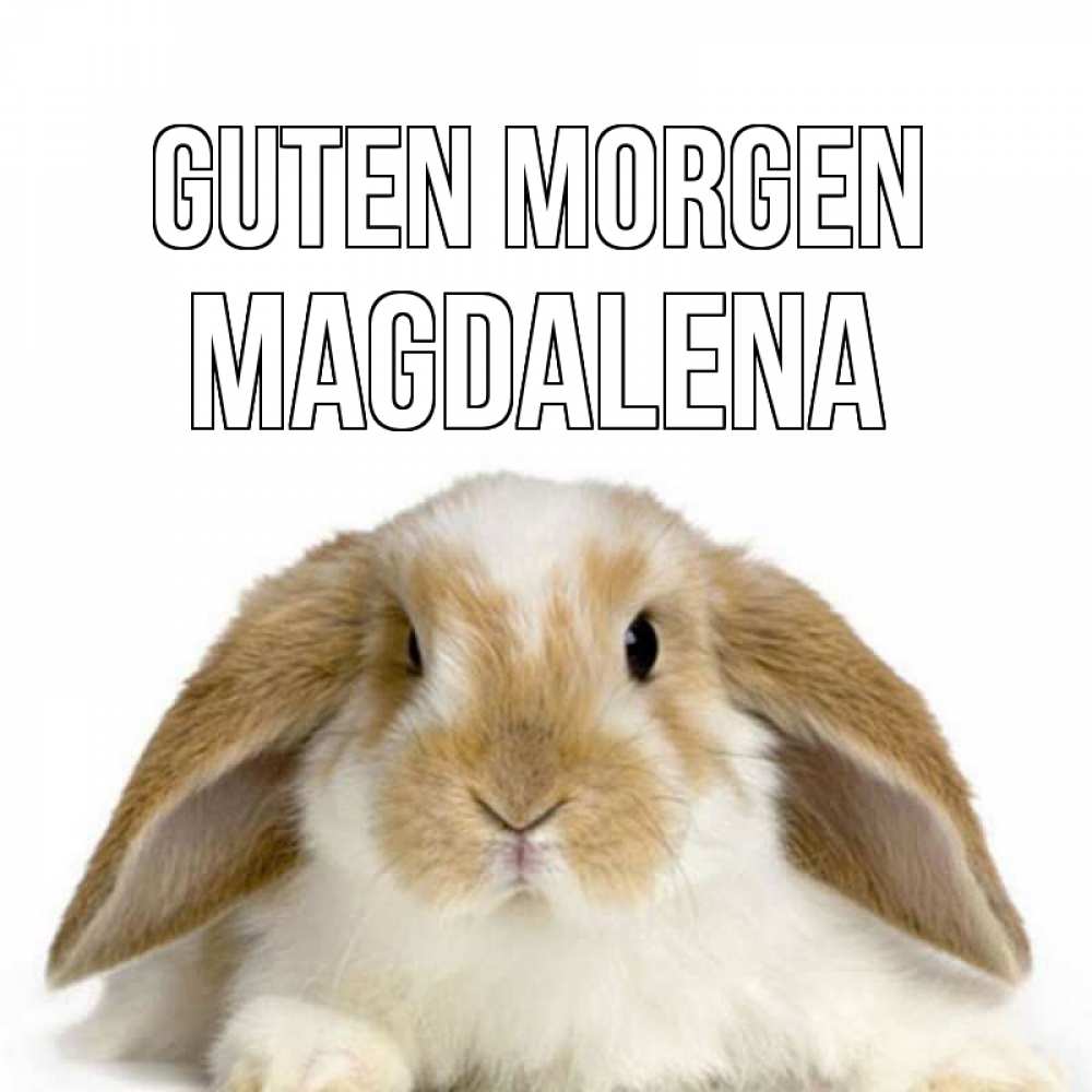 Открытка на каждый день с именем, Magdalena Guten Morgen прикольные открытки на каждый день Прикольная открытка с пожеланием онлайн скачать бесплатно 