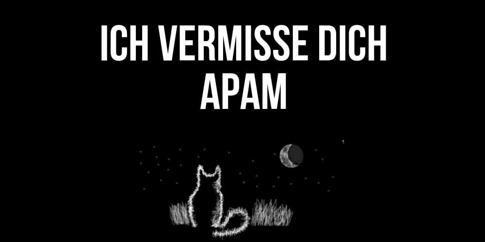 Открытка на каждый день с именем, Арам Ich vermisse dich кот Прикольная открытка с пожеланием онлайн скачать бесплатно 