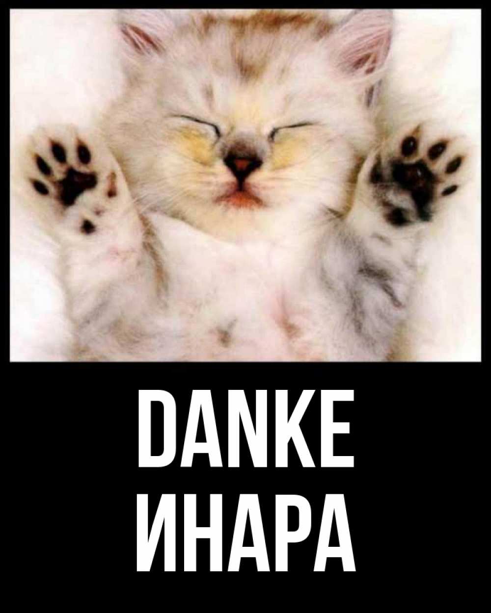 Открытка на каждый день с именем, Инара Danke маленький котенок Прикольная открытка с пожеланием онлайн скачать бесплатно 