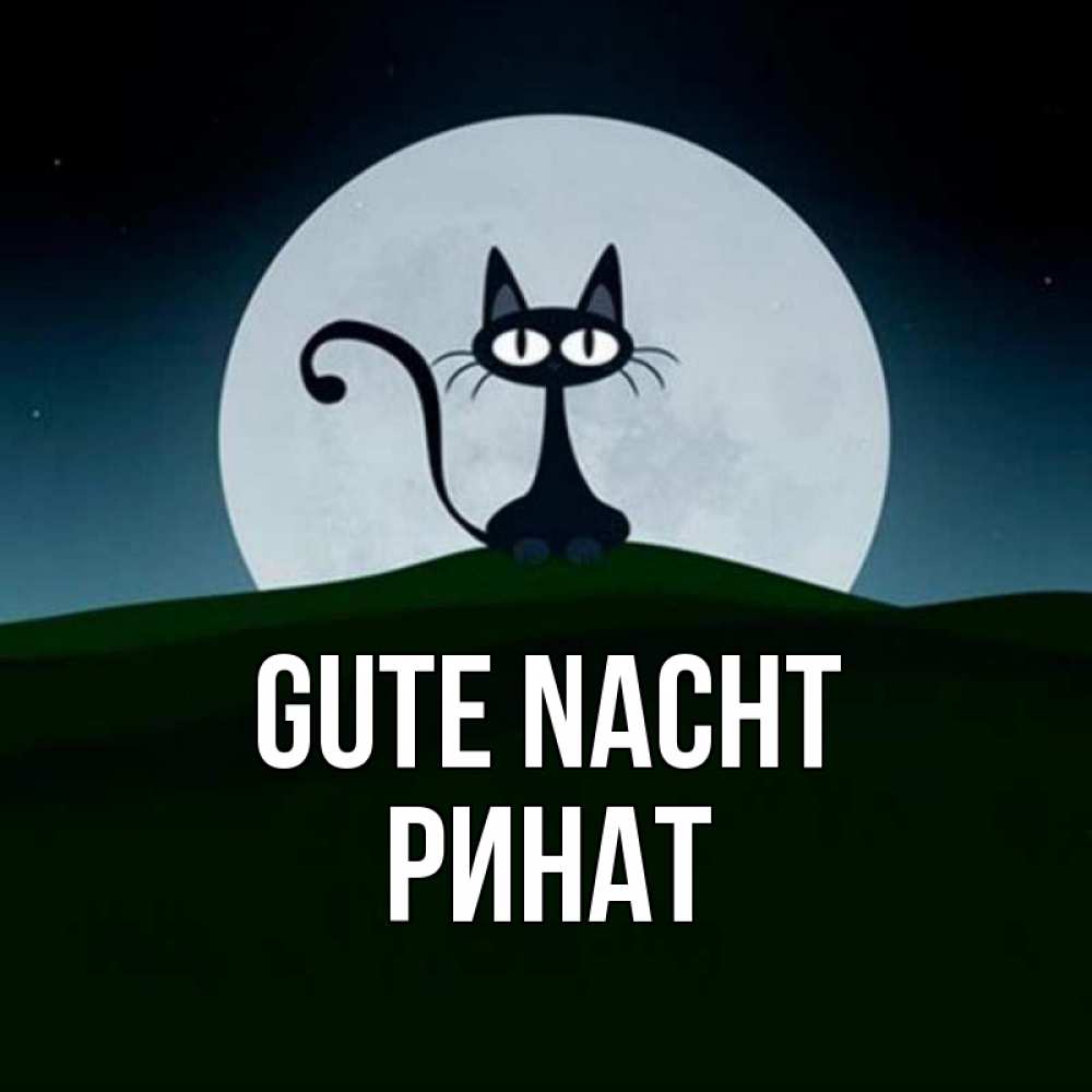Открытка на каждый день с именем, Ринат Gute Nacht хорошо выспаться ночью и без кошмаров Прикольная открытка с пожеланием онлайн скачать бесплатно 