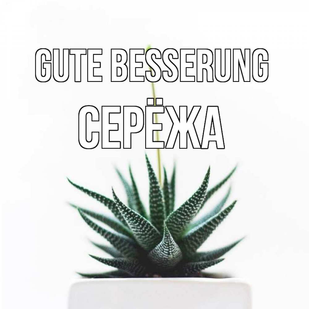 Открытка на каждый день с именем, Серёжа Gute Besserung короче это непонятная колючка Прикольная открытка с пожеланием онлайн скачать бесплатно 