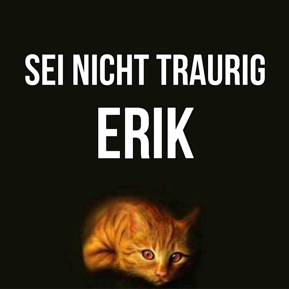 Открытка на каждый день с именем, Erik Sei nicht traurig лежащий кот в темноте Прикольная открытка с пожеланием онлайн скачать бесплатно 