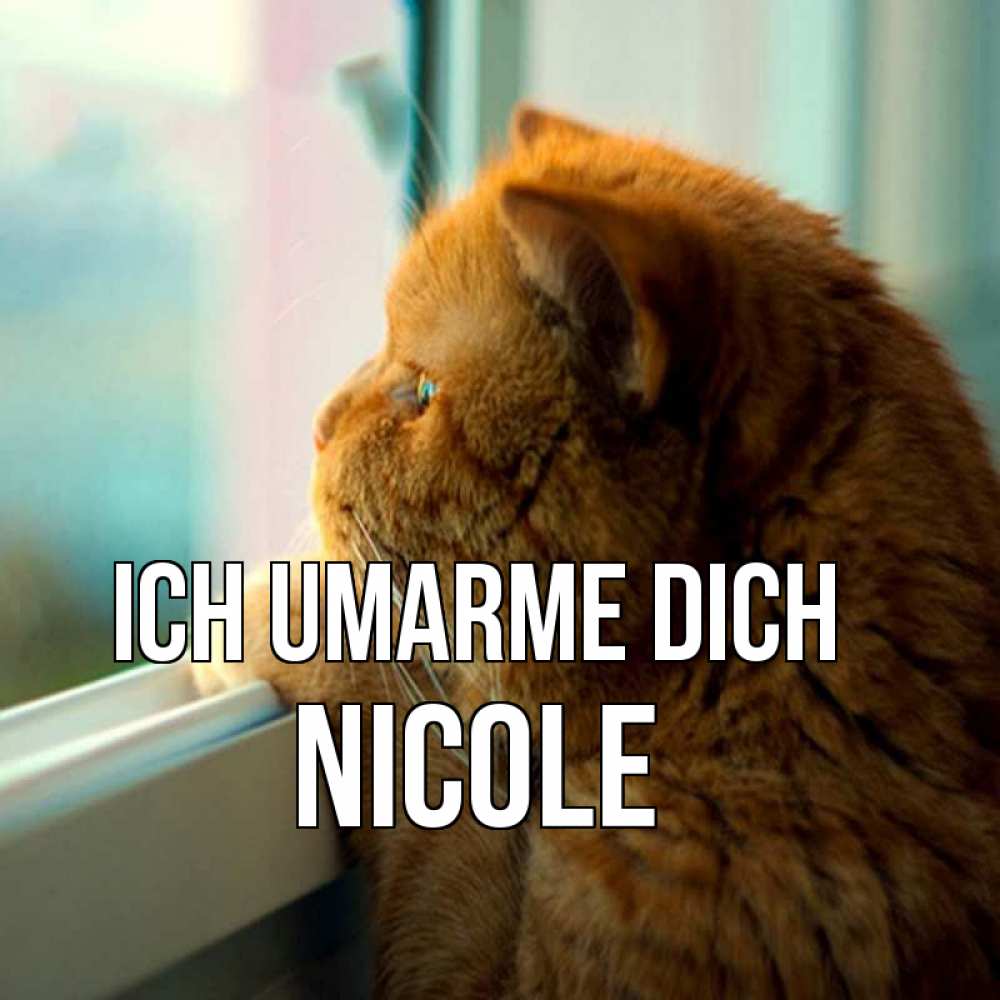 Открытка на каждый день с именем, Nicole Ich umarme dich большой огромный рыжий котяра Прикольная открытка с пожеланием онлайн скачать бесплатно 