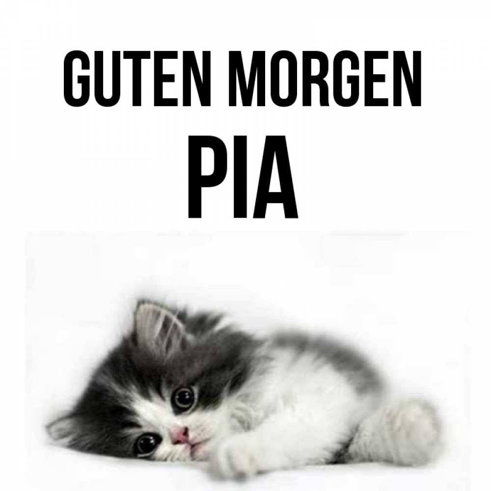 Открытка на каждый день с именем, Pia Guten Morgen кот лапки Прикольная открытка с пожеланием онлайн скачать бесплатно 