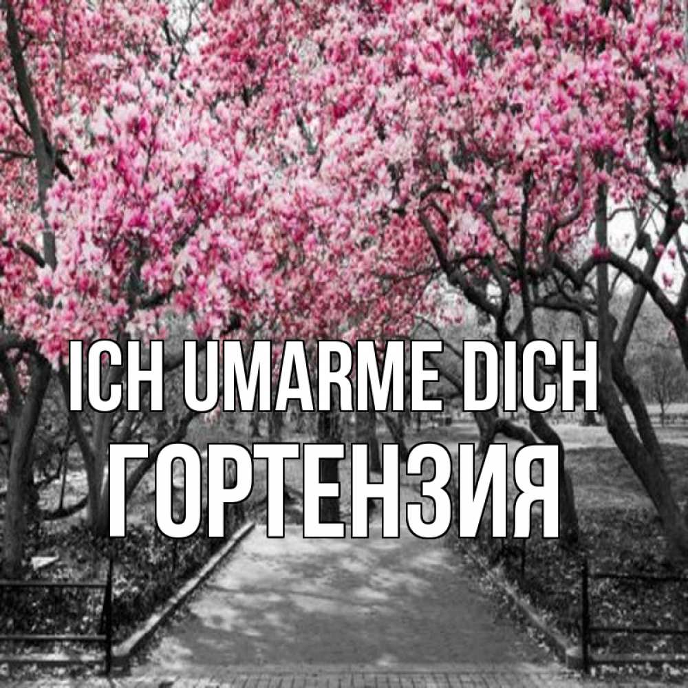 Открытка на каждый день с именем, Гортензия Ich umarme dich обработанное фото Прикольная открытка с пожеланием онлайн скачать бесплатно 