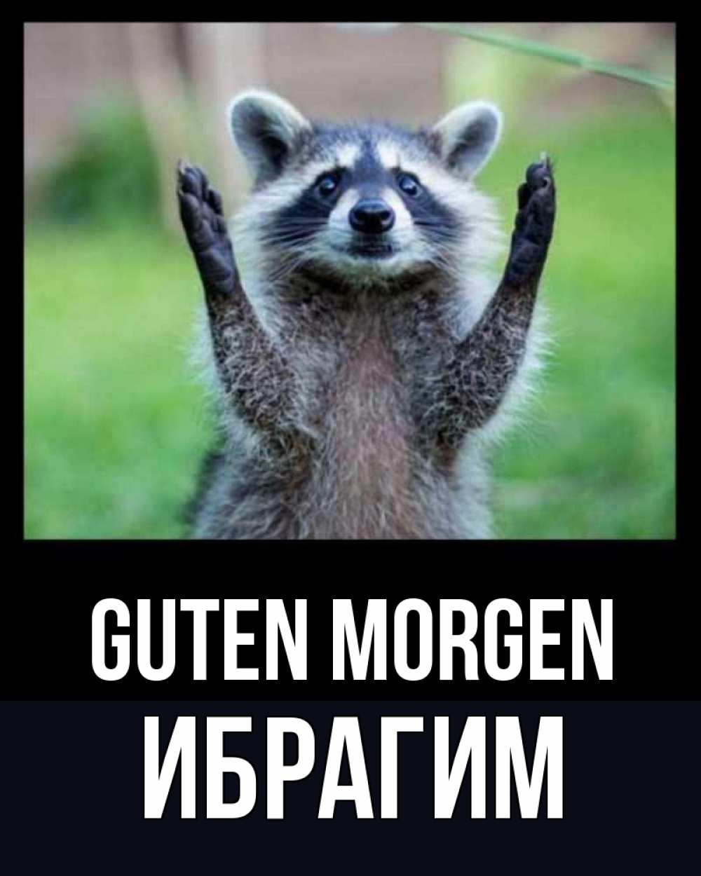 Открытка на каждый день с именем, Ибрагим Guten Morgen хорошее настроение утречком Прикольная открытка с пожеланием онлайн скачать бесплатно 