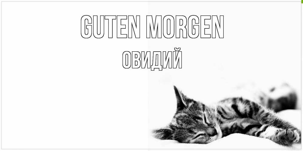Открытка на каждый день с именем, Овидий Guten Morgen котуся Прикольная открытка с пожеланием онлайн скачать бесплатно 