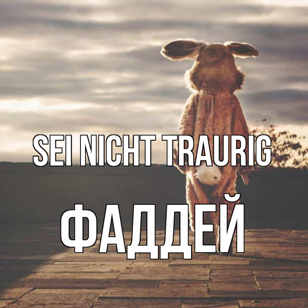 Открытка на каждый день с именем, Фаддей Sei nicht traurig со спины Прикольная открытка с пожеланием онлайн скачать бесплатно 