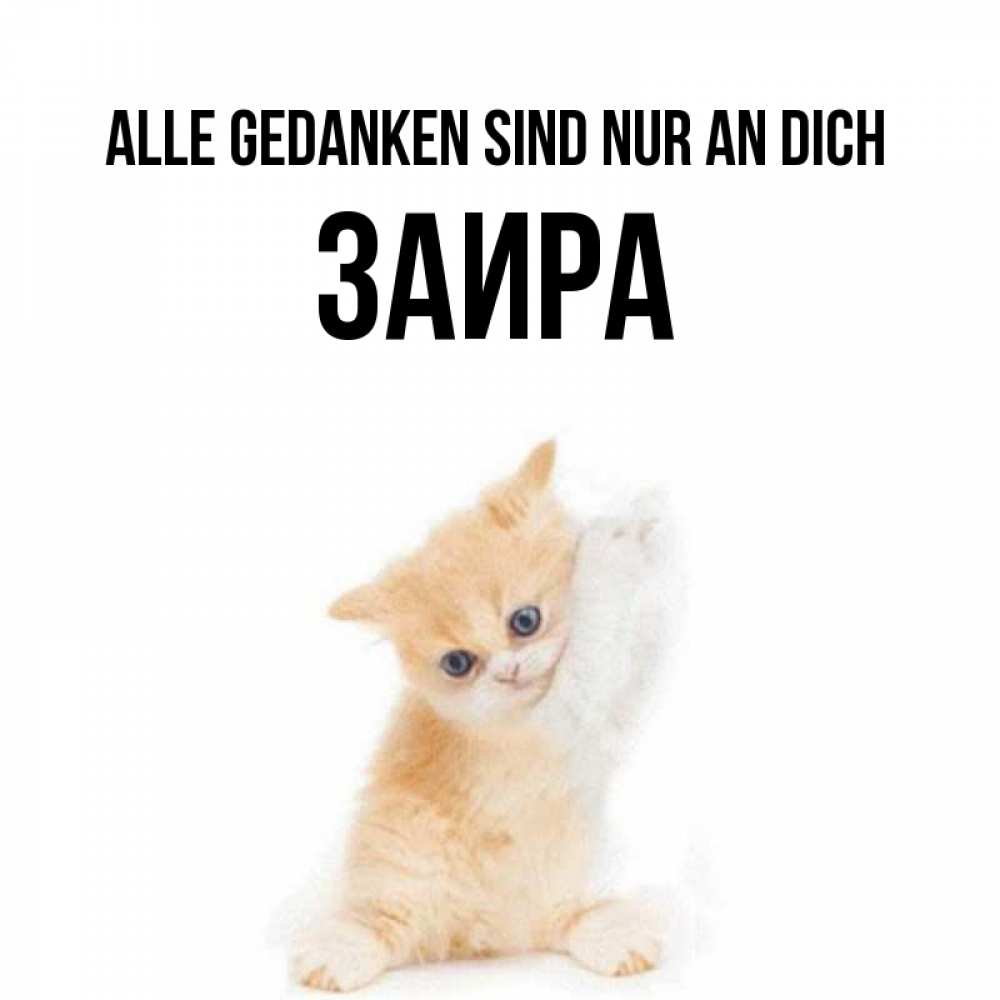 Открытка на каждый день с именем, Заира Alle Gedanken sind nur an dich зверушки и милота Прикольная открытка с пожеланием онлайн скачать бесплатно 