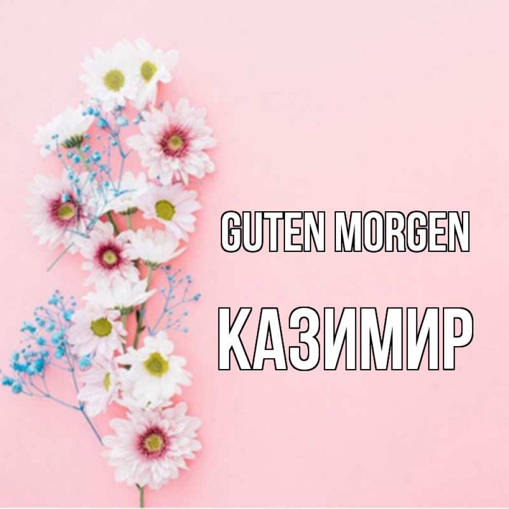 Открытка на каждый день с именем, Казимир Guten Morgen цветы с подписью Прикольная открытка с пожеланием онлайн скачать бесплатно 