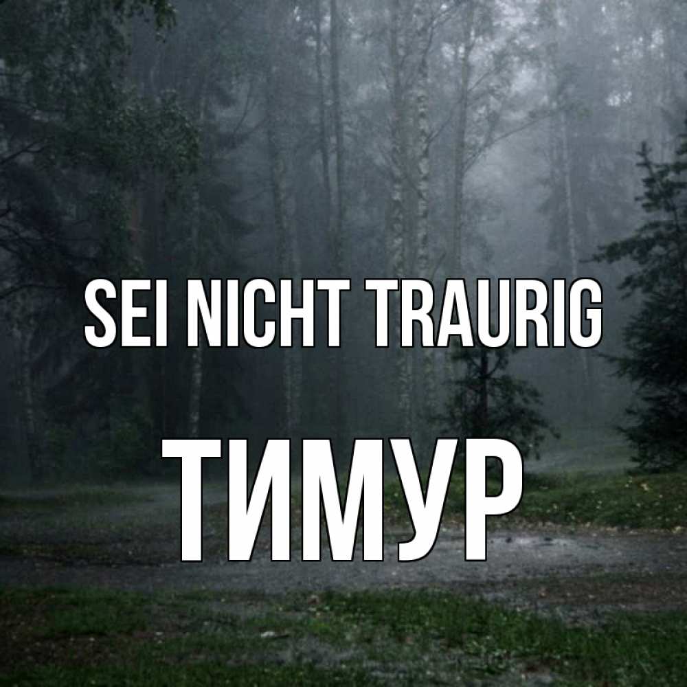 Открытка на каждый день с именем, Тимур Sei nicht traurig осень Прикольная открытка с пожеланием онлайн скачать бесплатно 