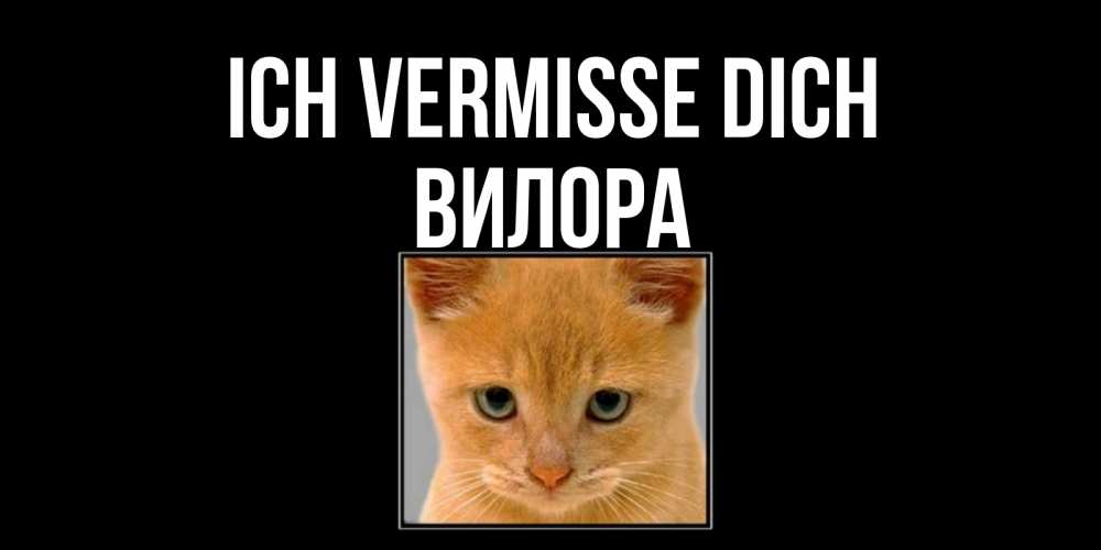 Открытка на каждый день с именем, Вилора Ich vermisse dich открытки рыжий котенок скучает по тебе Прикольная открытка с пожеланием онлайн скачать бесплатно 