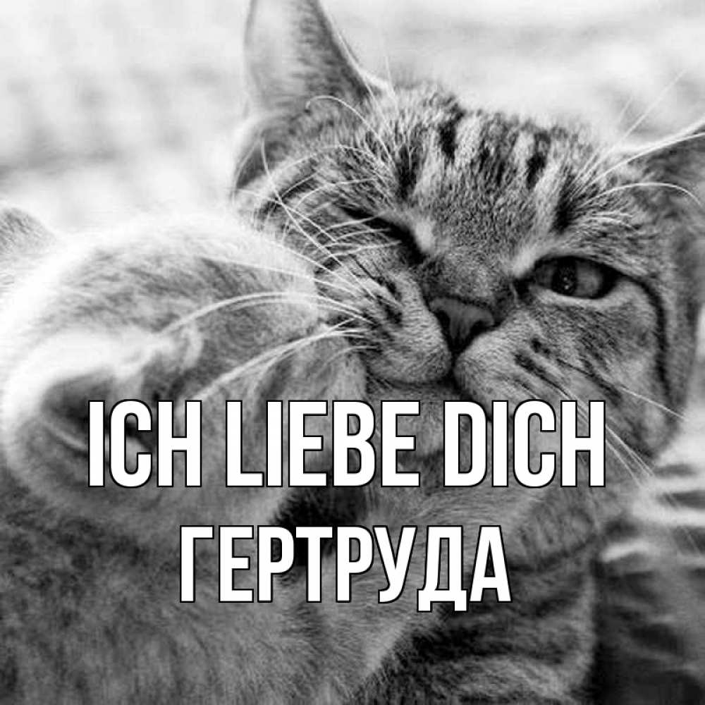 Открытка на каждый день с именем, Гертруда Ich liebe dich коты Прикольная открытка с пожеланием онлайн скачать бесплатно 