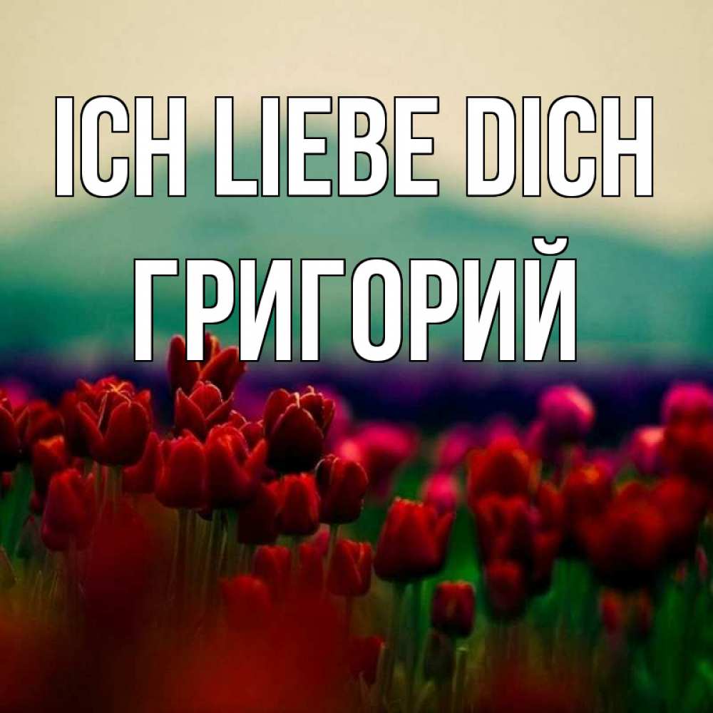 Открытка на каждый день с именем, Григорий Ich liebe dich тюльпаны 4 Прикольная открытка с пожеланием онлайн скачать бесплатно 