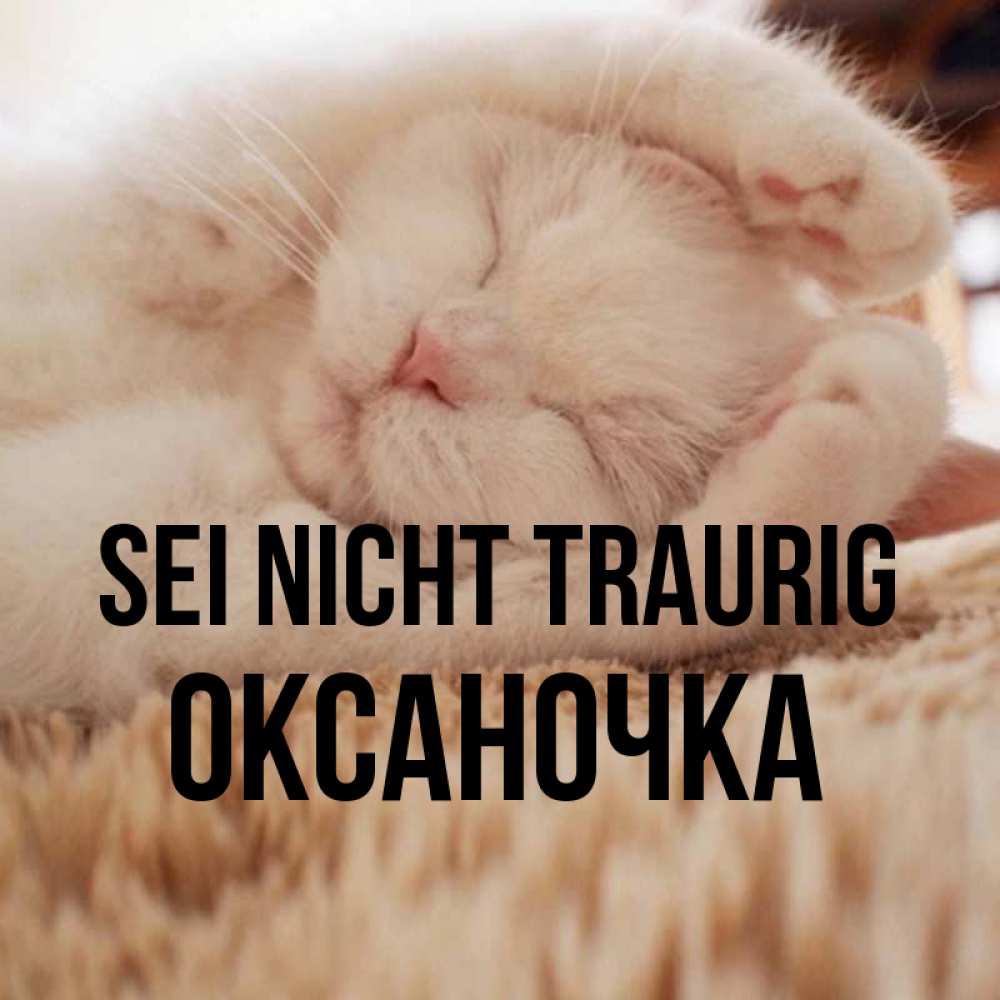 Открытка на каждый день с именем, Оксаночка Sei nicht traurig Котенок спит Прикольная открытка с пожеланием онлайн скачать бесплатно 