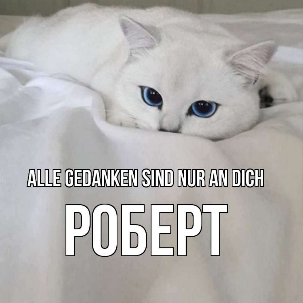 Открытка на каждый день с именем, Роберт Alle Gedanken sind nur an dich я очень по тебе скучаю и тоскую Прикольная открытка с пожеланием онлайн скачать бесплатно 