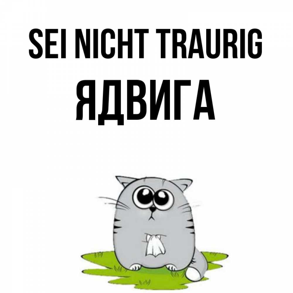 Открытка на каждый день с именем, Ядвига Sei nicht traurig грустный котяра Прикольная открытка с пожеланием онлайн скачать бесплатно 
