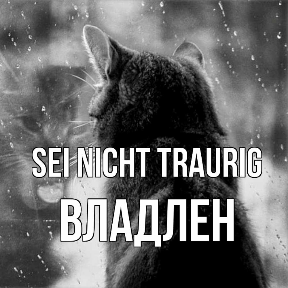 Открытка на каждый день с именем, Владлен Sei nicht traurig отражение кота 1 Прикольная открытка с пожеланием онлайн скачать бесплатно 