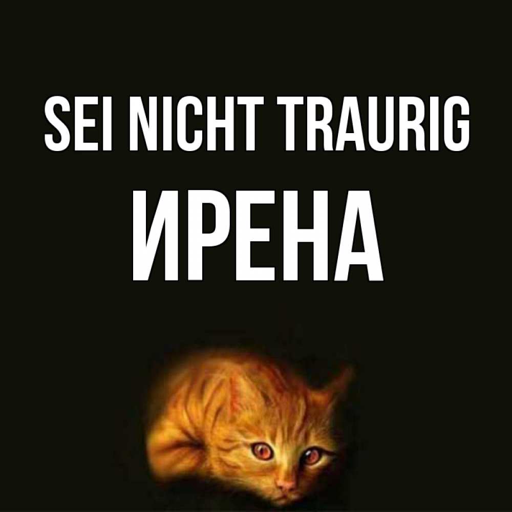 Открытка на каждый день с именем, Ирена Sei nicht traurig лежащий кот в темноте Прикольная открытка с пожеланием онлайн скачать бесплатно 