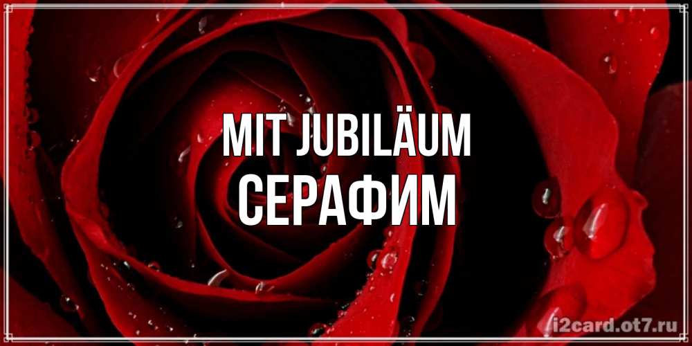 Открытка на каждый день с именем, Серафим Mit Jubiläum крупная бордовая роза Прикольная открытка с пожеланием онлайн скачать бесплатно 