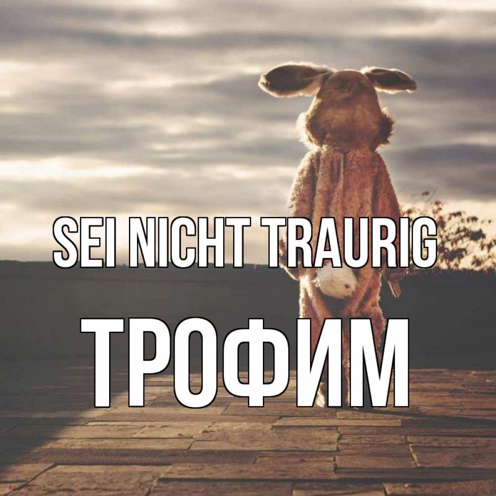 Открытка на каждый день с именем, Трофим Sei nicht traurig со спины Прикольная открытка с пожеланием онлайн скачать бесплатно 
