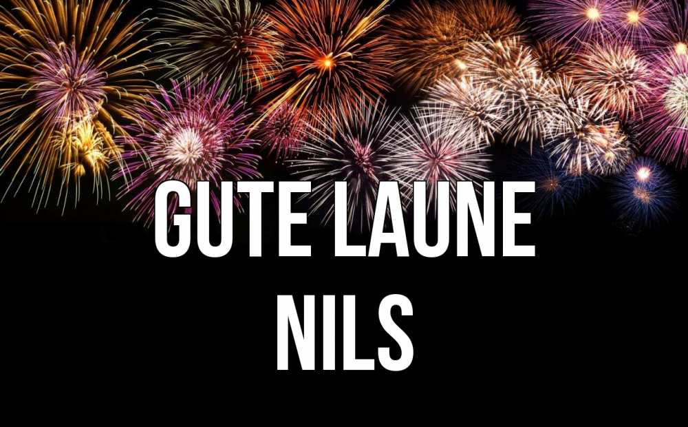 Открытка на каждый день с именем, Nils Gute Laune Фейрверг 1 Прикольная открытка с пожеланием онлайн скачать бесплатно 