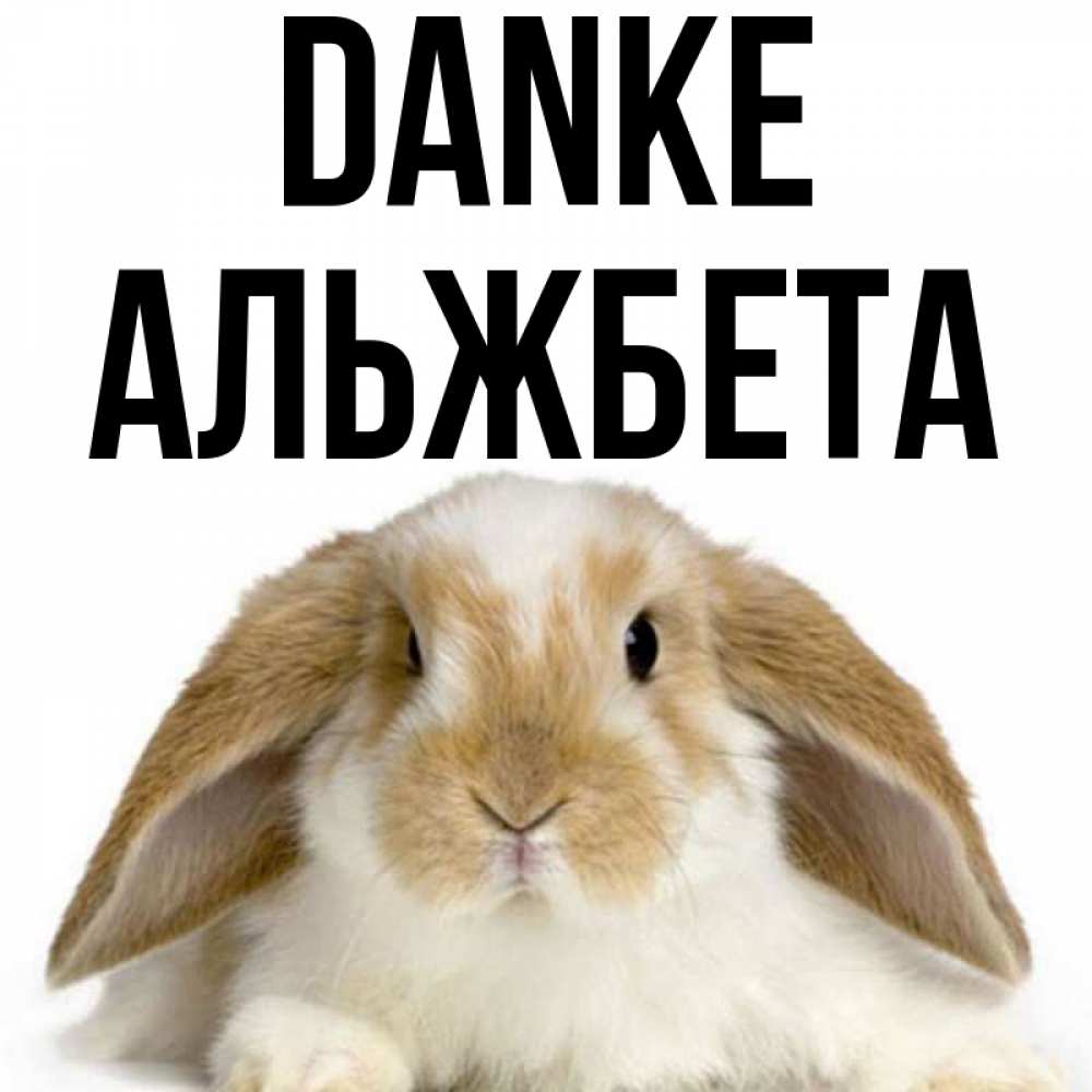 Открытка на каждый день с именем, Альжбета Danke коричнево белый заяц Прикольная открытка с пожеланием онлайн скачать бесплатно 