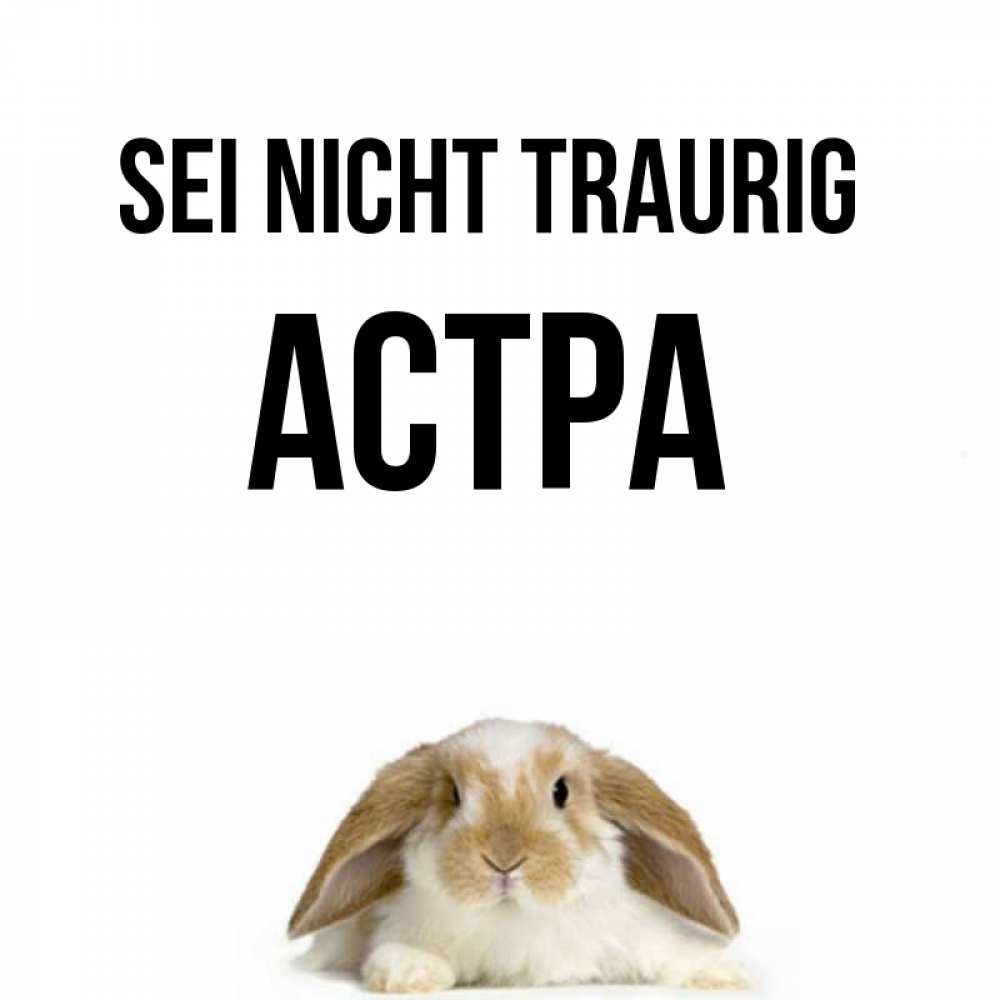 Открытка на каждый день с именем, Астра Sei nicht traurig коричнево белый заяц с большими ушками Прикольная открытка с пожеланием онлайн скачать бесплатно 