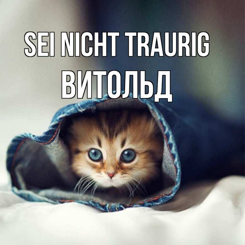 Открытка на каждый день с именем, Витольд Sei nicht traurig рыжик котик Прикольная открытка с пожеланием онлайн скачать бесплатно 