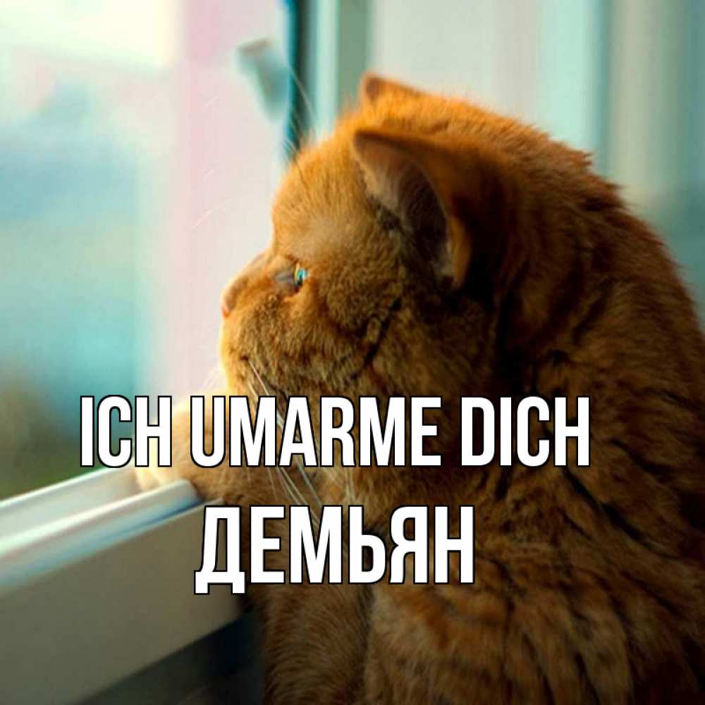 Открытка на каждый день с именем, Демьян Ich umarme dich большой огромный рыжий котяра Прикольная открытка с пожеланием онлайн скачать бесплатно 