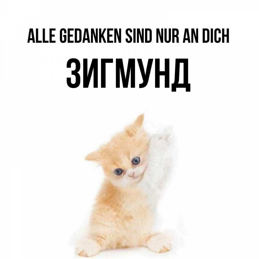 Открытка на каждый день с именем, Зигмунд Alle Gedanken sind nur an dich зверушки и милота Прикольная открытка с пожеланием онлайн скачать бесплатно 