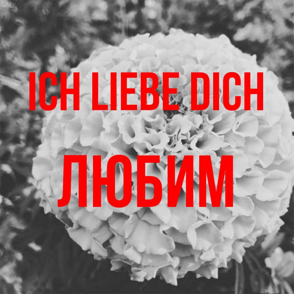 Открытка на каждый день с именем, Любим Ich liebe dich подпись Прикольная открытка с пожеланием онлайн скачать бесплатно 