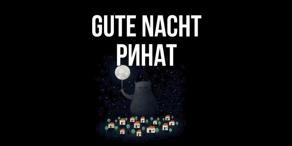 Открытка на каждый день с именем, Ринат Gute Nacht кот,луна, ночь, звезды Прикольная открытка с пожеланием онлайн скачать бесплатно 