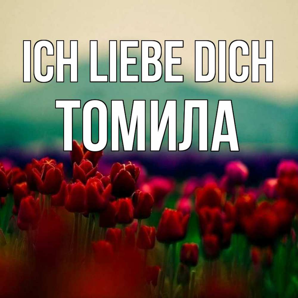 Открытка на каждый день с именем, Томила Ich liebe dich тюльпаны 4 Прикольная открытка с пожеланием онлайн скачать бесплатно 