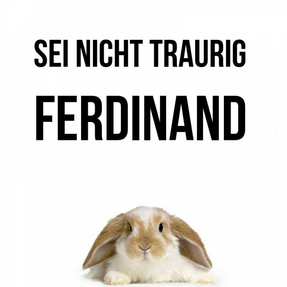 Открытка на каждый день с именем, Ferdinand Sei nicht traurig коричнево белый заяц с большими ушками Прикольная открытка с пожеланием онлайн скачать бесплатно 