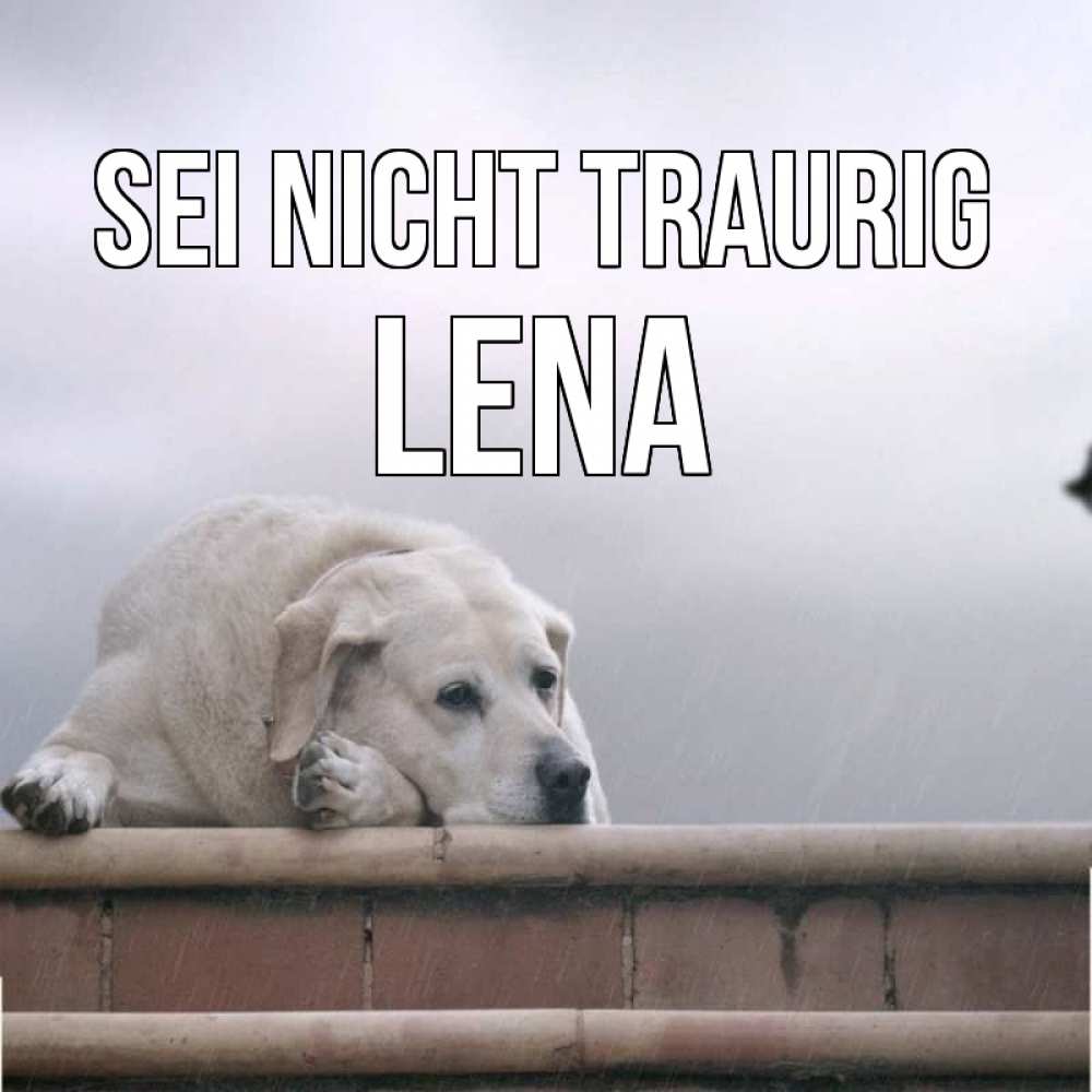 Открытка на каждый день с именем, Lena Sei nicht traurig белый пес 1 Прикольная открытка с пожеланием онлайн скачать бесплатно 