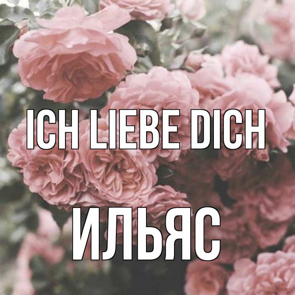 Открытка на каждый день с именем, Ильяс Ich liebe dich розы 3 Прикольная открытка с пожеланием онлайн скачать бесплатно 