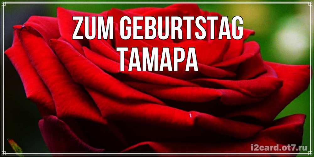 Открытка на каждый день с именем, Тамара Zum Geburtstag розочка очень красивая Прикольная открытка с пожеланием онлайн скачать бесплатно 